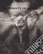 Elephants in heaven. Ediz. inglese, francese e tedesca