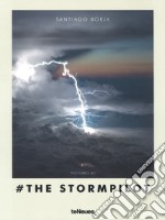 The stormpilot. Ediz. illustrata libro