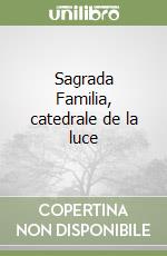 Sagrada Familia, catedrale de la luce libro