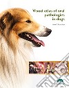 Visual atlas of oral pathologies in dogs libro