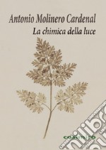 La chimica della luce libro