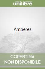 Amberes libro