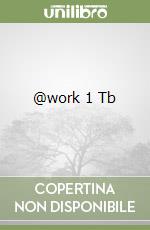 @work 1 Tb libro