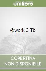 @work 3 Tb libro