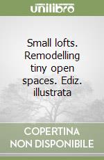 Small lofts. Remodelling tiny open spaces. Ediz. illustrata