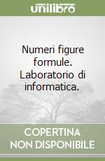 Numeri figure formule. Laboratorio di informatica. libro