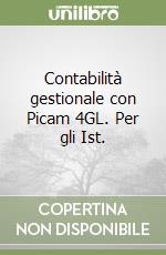 Contabilità gestionale con Picam 4GL. Per gli Ist.