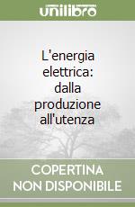 L'energia elettrica: dalla produzione all'utenza