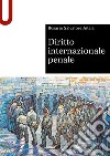 Diritto internazionale penale libro