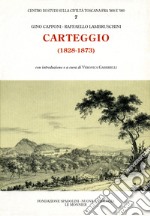 Carteggio (1828-1873) libro