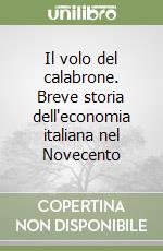 Il volo del calabrone. Breve storia dell'economia italiana nel Novecento libro