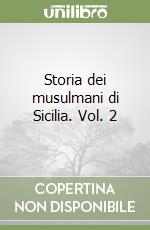 Storia dei musulmani di Sicilia. Vol. 2