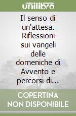 Il senso di un'attesa. Riflessioni sui vangeli delle domeniche di Avvento e percorsi di approfondimenti. Anno A libro