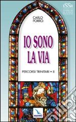 Percorsi trinitari (2) libro