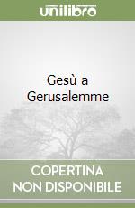 Gesù a Gerusalemme libro