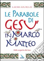 Le parabole di Gesù in Marco e Matteo. Dalla sorgente alla foce libro