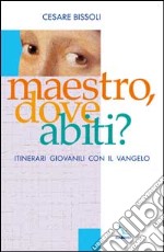 Maestro, dove abiti? Itinerari giovanili con il vangelo libro