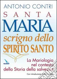 Santa Maria scrigno dello Spirito Santo. La mariologia nel contesto della storia della salvezza libro