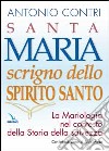 Santa Maria scrigno dello Spirito Santo. La mariologia nel contesto della storia della salvezza libro