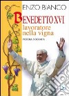 Benedetto XVI lavoratore nella vigna. Piccola biografia libro