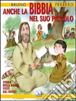 Anche la Bibbia nel suo piccolo. Storie della Bibbia viste dal basso. Ediz. illustrata libro