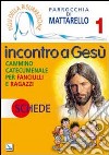 Figli della Risurrezione. Vol. 1: Incontro a Gesù. Schede. Cammino catecumenale per fanciulli e ragazzi libro di Parrocchia Mattarello (cur.)