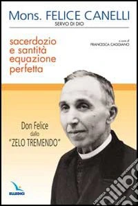 Sacerdozio e santità equazione perfetta. Don Felice dallo «zelo tremendo» libro