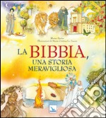 La Bibbia, una storia meravigliosa. Ediz. illustrata libro