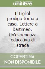 Il Figliol prodigo torna a casa. Lettere a Bartimeo. Un'esperienza educativa di strada