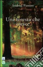 Una foresta che cresce