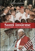 Santi insieme libro