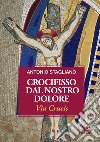 Crocifisso dal nostro dolore. Via crucis libro