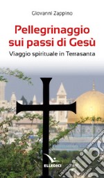 Pellegrinaggio sui passi di Gesù. Viaggio spirituale in Terrasanta libro