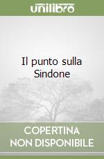 Il punto sulla Sindone libro