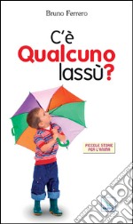 C'è qualcuno lassù? libro