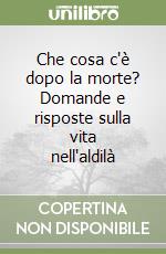 Che cosa c'è dopo la morte? Domande e risposte sulla vita nell'aldilà