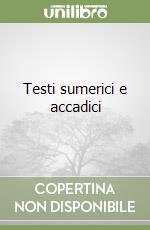 Testi sumerici e accadici libro