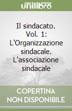 Il sindacato. Vol. 1: L'Organizzazione sindacale. L'associazione sindacale