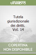 Tutela giurisdizionale dei diritti. Vol. 14 libro