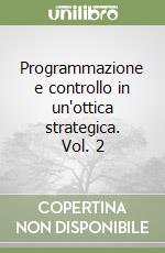 Programmazione e controllo in un'ottica strategica. Vol. 2