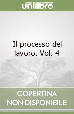 Il processo del lavoro. Vol. 4 libro