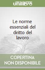 Le norme essenziali del diritto del lavoro libro