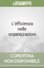 L'efficienza nelle organizzazioni