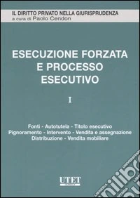 L'Esecuzione forzata e processo esecutivo