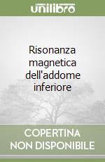Risonanza magnetica dell'addome inferiore