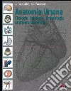 Anatomia umana. Citologia, istologia, embriologia, anatomia sistematica libro di Pasqualino Arcangelo Panattoni G. L.