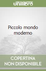 Piccolo mondo moderno libro