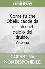 Come fu che Obelix cadde da piccolo nel paiolo del druido. Asterix libro