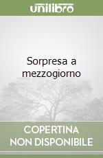 Sorpresa a mezzogiorno libro