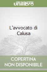 L'avvocato di Calusa libro